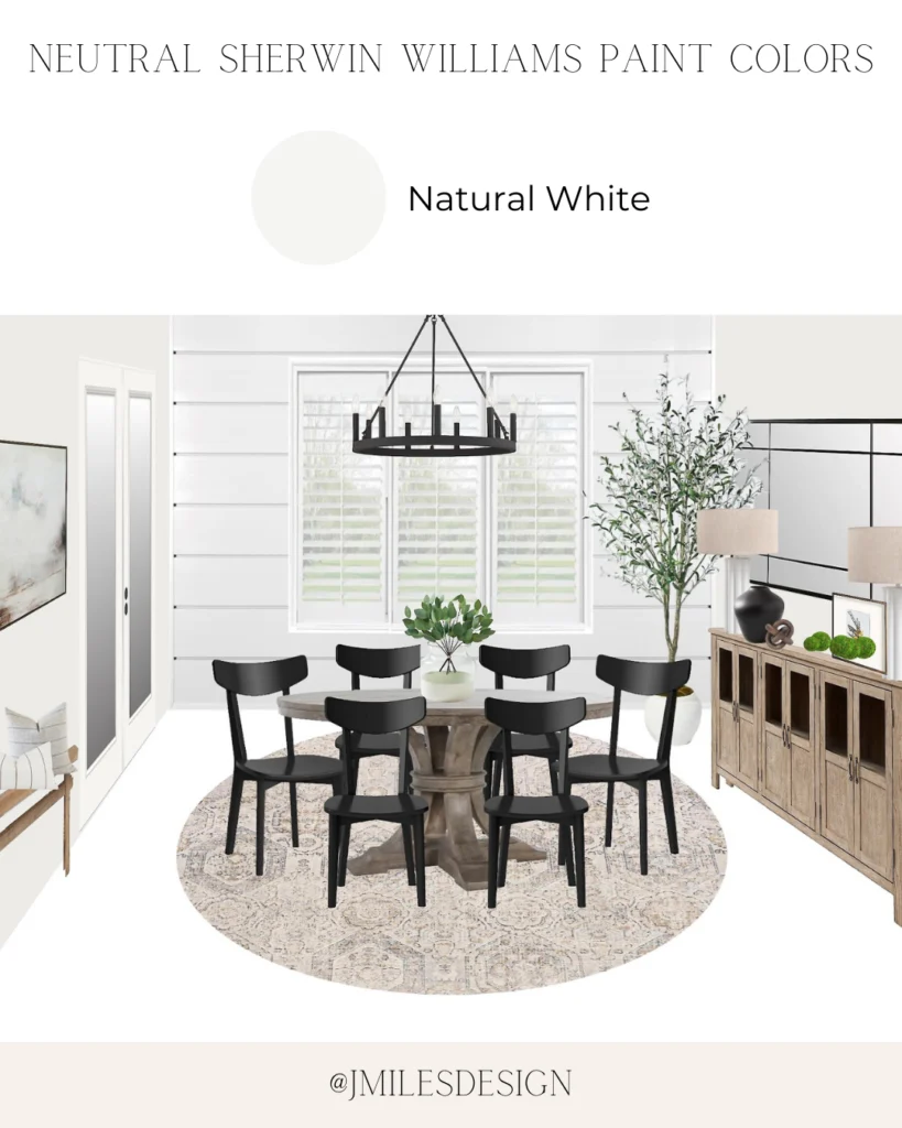 Dinning Room Design